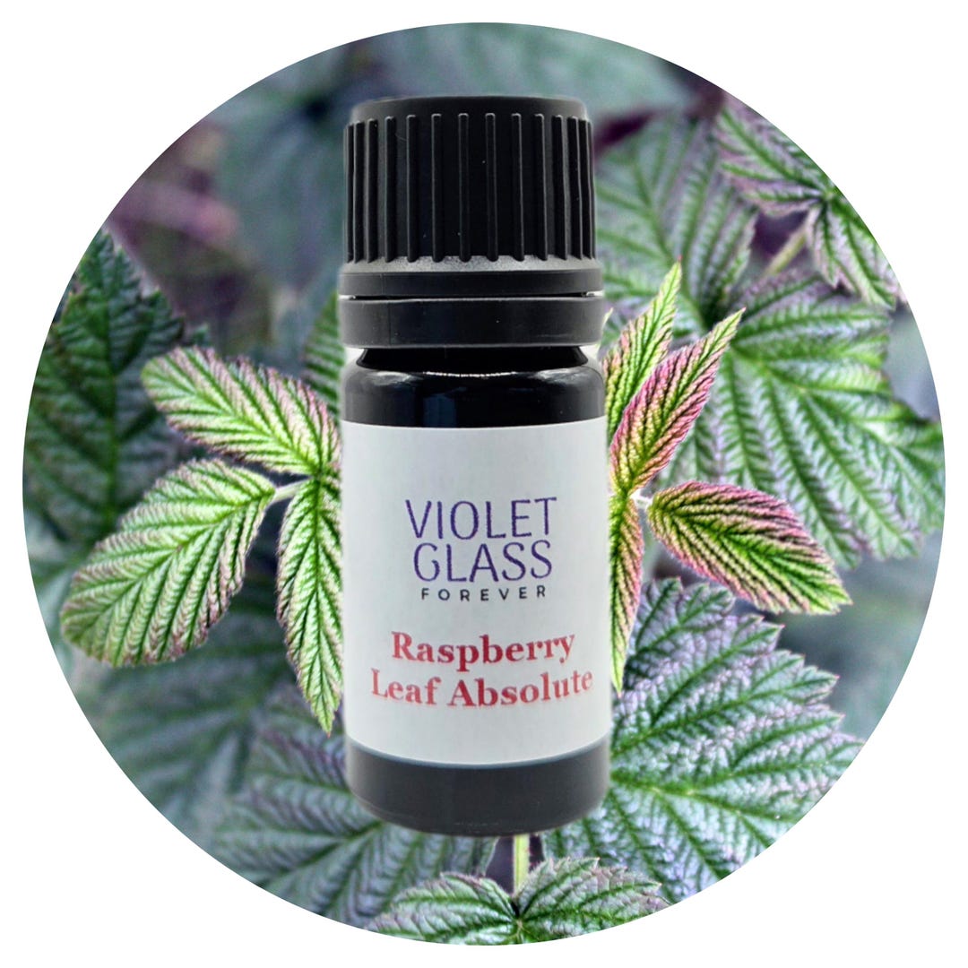 Red Raspberry Leaf Absolute Organic Rubus Idaeus Natural Perfume ...