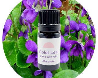 Violet Leaf Absolute Premium France Viola odorata Perfumery Perfume Fragrance Pure All Natural