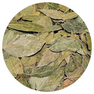 Organic Bay Laurel Essential Oil Laurus nobilis Aromatherapy Perfume diffuser blend diffuse self care aroma Corsica