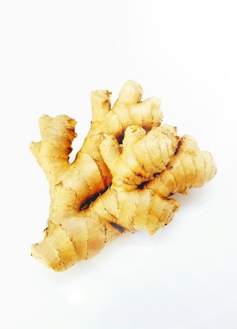 Organic Ginger Root CO2 Extract zingiber Officinales Ginger Etsy