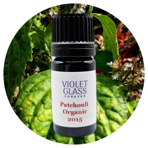 Aceite esencial de pachulí orgánico, orgánico de Indonesia 2015 (Pogostemon cablin) Aceite esencial de pachulí, fijador y perfume de perfumería.