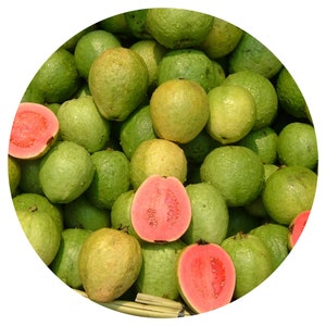 Organic Guava Seed Oil Pure Cold Pressed Psidium Moisturizer Self care dry skin
