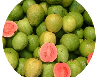 Bio Guava Seed Oil Pure kalt gepresste Psidium Feuchtigkeitscreme Selbstpflege trockene Haut