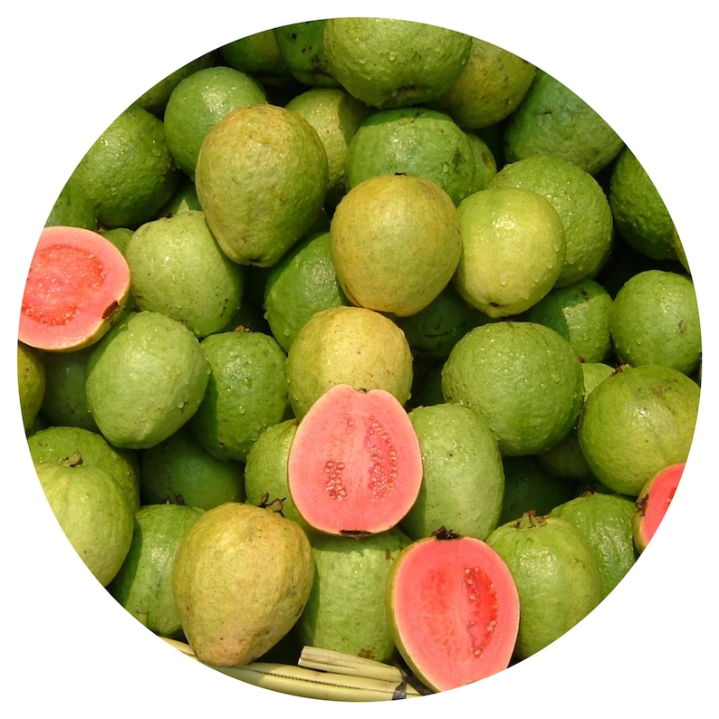 May include: A close-up of a pile of green guavas, some of which are cut open to reveal their pink flesh.