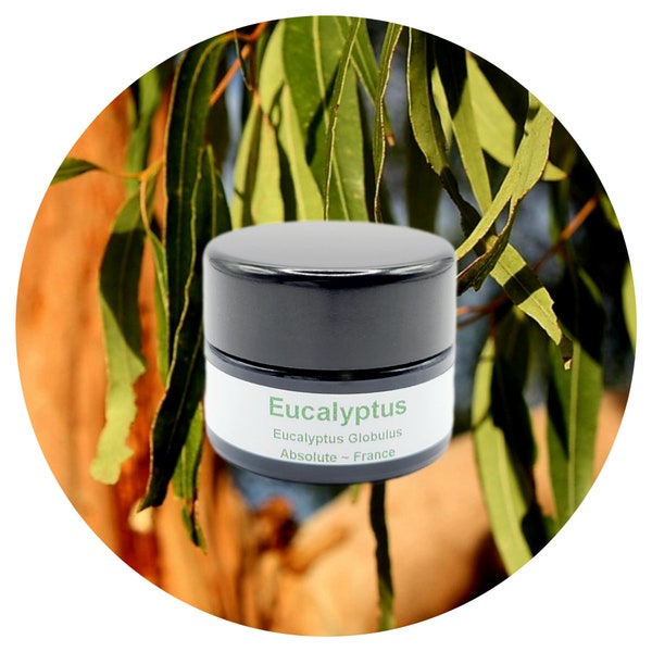 Eucalyptus ABSOLUTE France Parfumerie naturelle fixateur de parfum