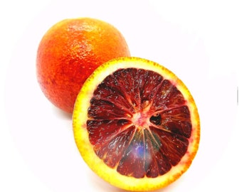 Organic Blood Orange Essential Oil Citrus sinensis Italy Bright Fresh Fruity scent Pure highest quality cold pressed peel