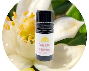 DaiDai aceite esencial de flor orgánico Citrus aurantium var Dai Dai puro fino Natural cuidado de la piel Perfume aromaterapia perfumería