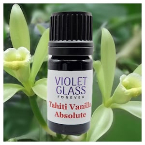 Tahiti Vanilla ABSOLUTE Oil Rare Tahitian Tahitensis Perfumery Perfume Sweet Dry Creamy Warm Cologne Essential Fixative Natural High Quality