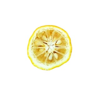 Yuzu etherische olie Citrus Junos Japan ZELDZAME hoge kwaliteit stoomgedistilleerd Japans