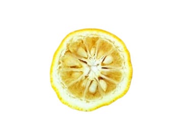 Aceite esencial de yuzu Citrus Junos Japón RARO Alta calidad Destilado al vapor Japonés