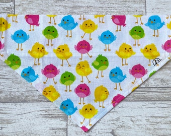 Easter Colourful Birds Pet Bandana - Scrunchie / Elastic, Snap, Over the Collar or Tied