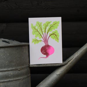 Peut inclure: Une carte blanche avec une illustration colorée d'une betterave. La betterave est représentée avec une racine rose vif, une tige rouge foncé et des feuilles vert clair. La carte est posée contre un arrosoir en métal, avec un fond en bois sombre.