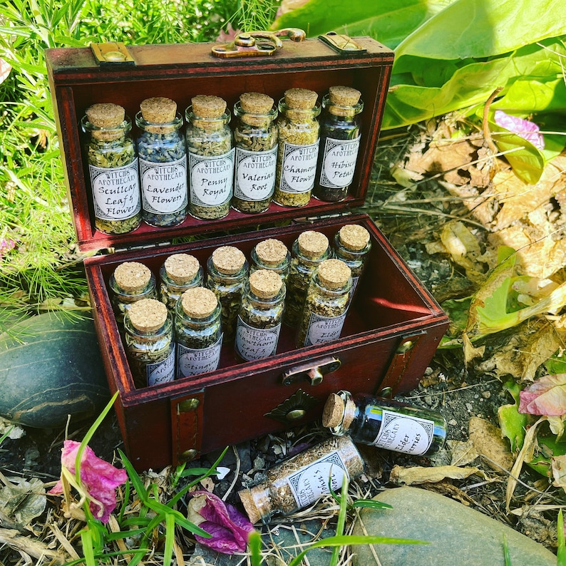 Häxkonst Apoteker med Mortel och Stöt ~ Örter Glasflaskor ~ Skuggornas Bok Journal ~ Wicca Hedniska Altaretillbehör för Trolldrycksframställning Just the Kit