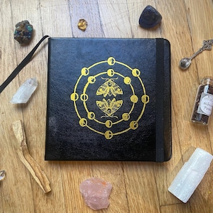 Häxkonst Apoteker med Mortel och Stöt ~ Örter Glasflaskor ~ Skuggornas Bok Journal ~ Wicca Hedniska Altaretillbehör för Trolldrycksframställning bild 9
