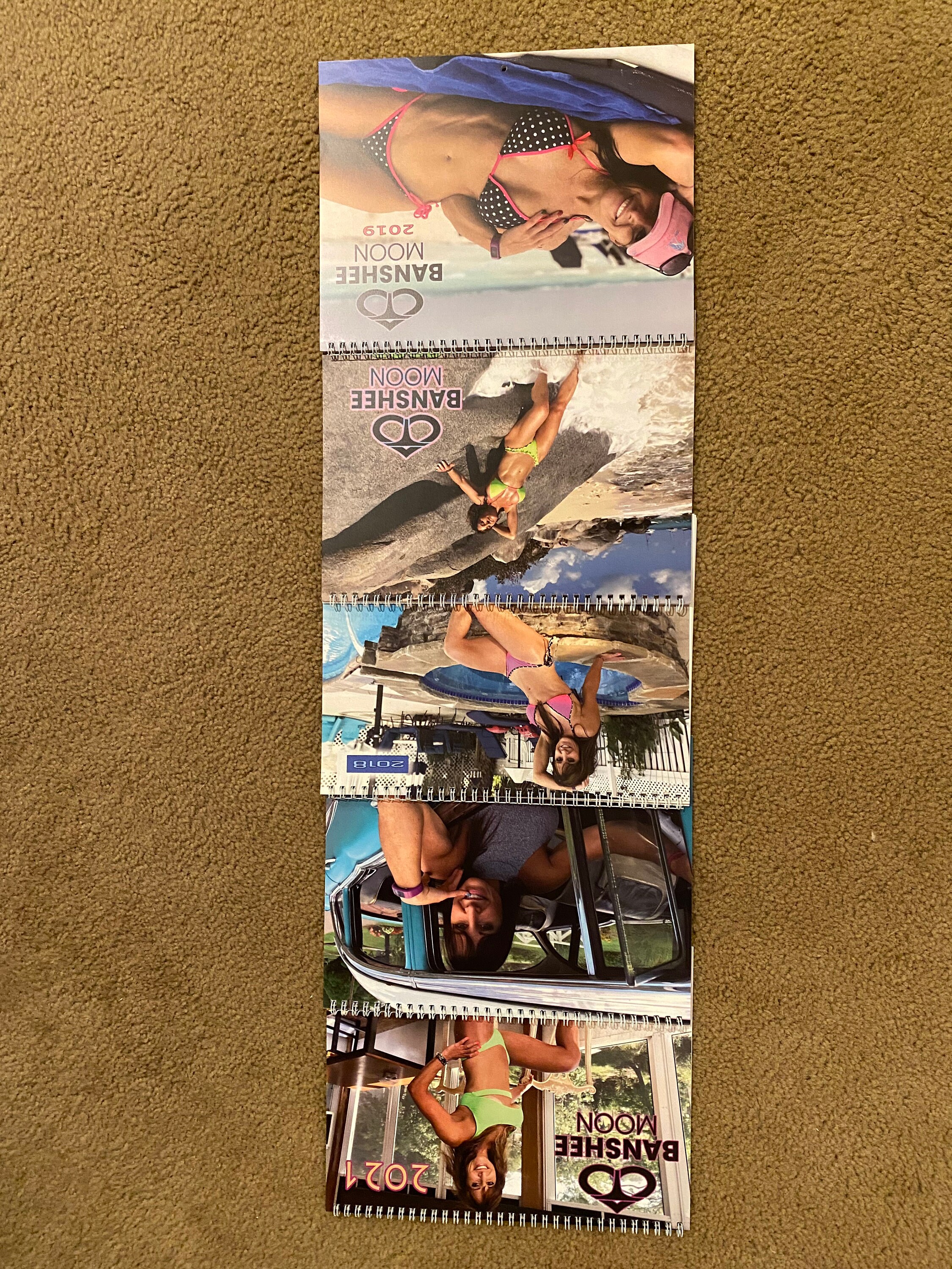 All Six Farm Girl Banshee Moon Calendars 2017 2022 Signed - Etsy