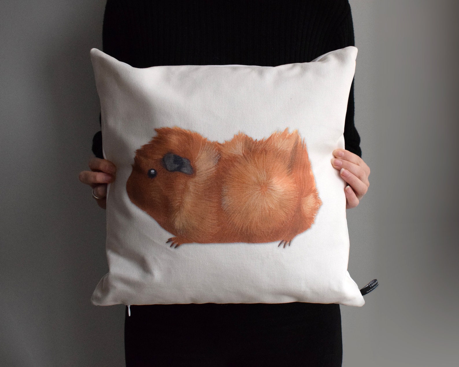 Guineapig Pillow 2 Colour Ways Pillow Case Throw Pillow Etsy