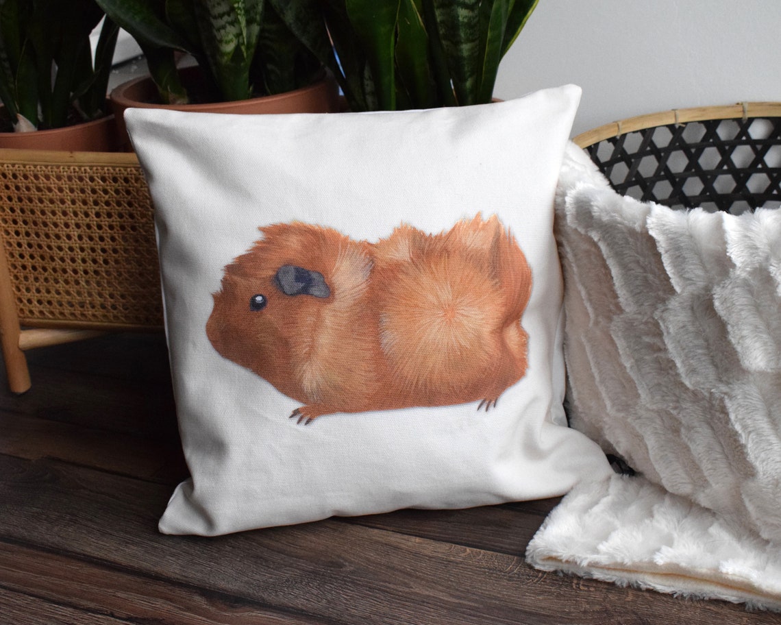 Guineapig Pillow 2 Colour Ways Pillow Case Throw Pillow Etsy