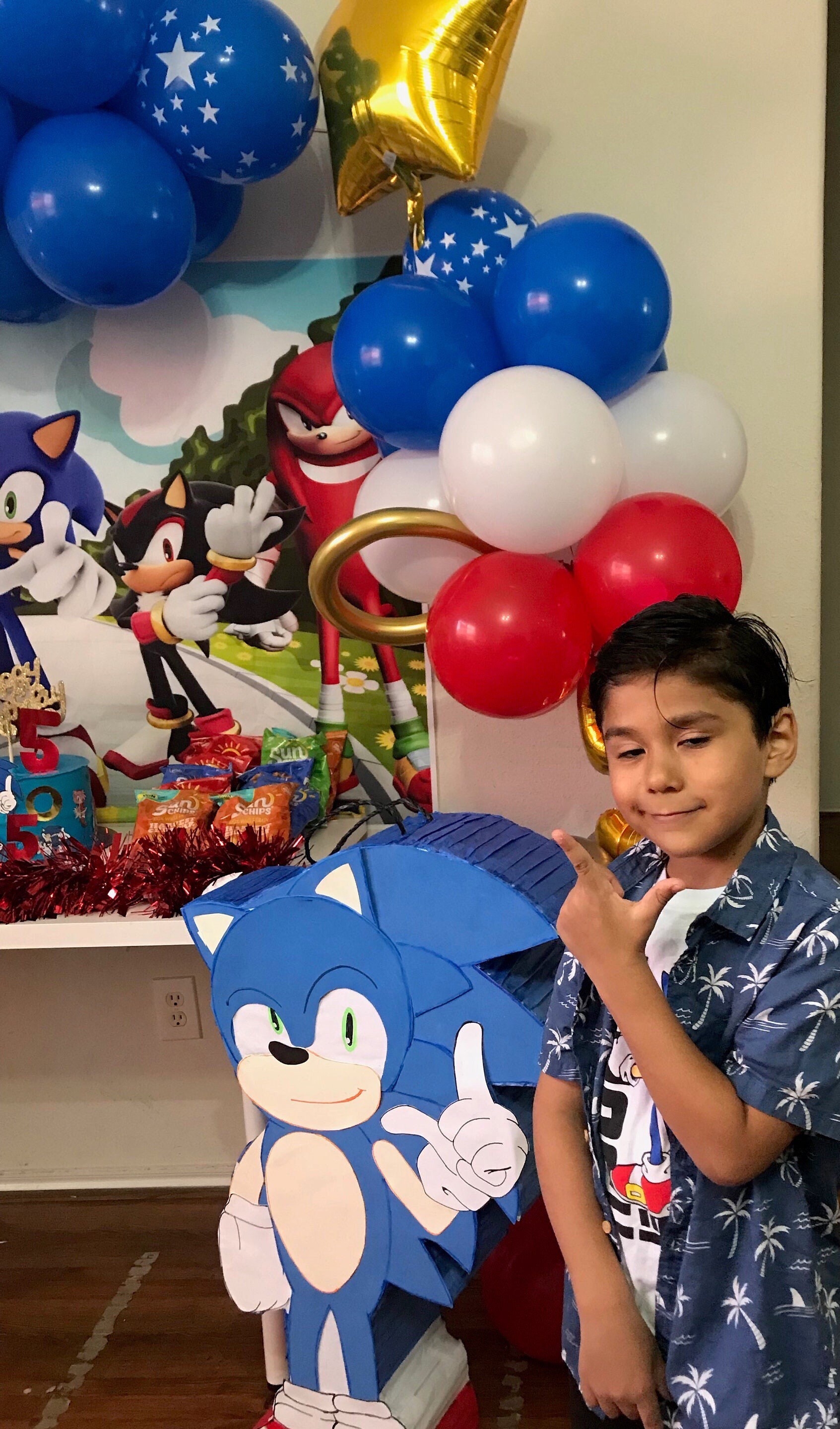 Large Sonic pinata-sonic party- sonic theme- party decorations