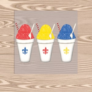 Ready to Press, Summer Snoballs, heat transfer print, DTF Transfer Print