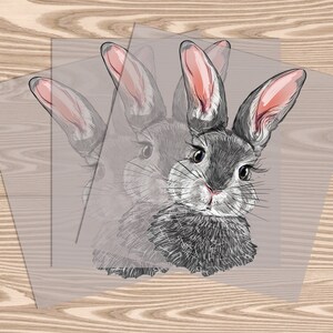 May include: Three clear stickers with a gray and white illustration of a rabbit with pink ears. The rabbit is looking directly at the viewer.