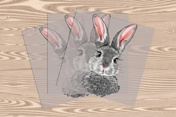 Ready to Press, Real Bunny, DTF Transfer Print