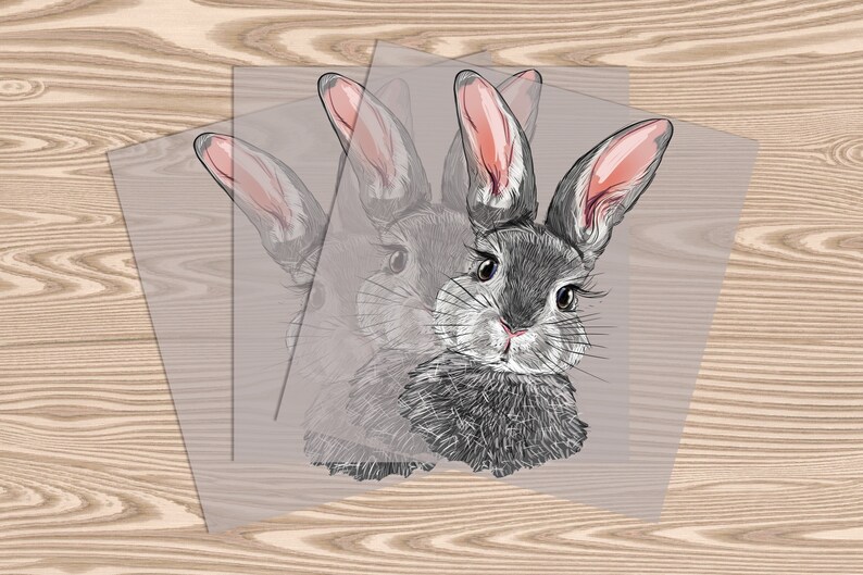 May include: Three clear stickers with a gray and white illustration of a rabbit with pink ears. The rabbit is looking directly at the viewer.
