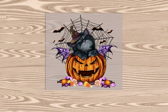 Ready to Press, Black Cat Pumpkin, heat transfer print, DTF Transfer Print