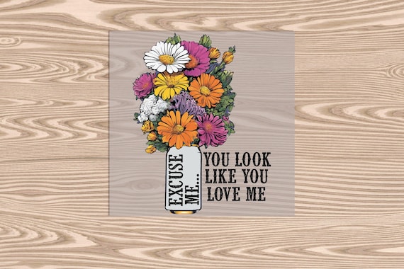 Ready to Press, Excuse Me, You Look Like You Love Me, heat transfer print, DTF Transfer Print
