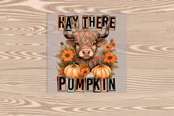 Hay There Pumpkin Highland Cow DTF Transfer Print: Ready to Press