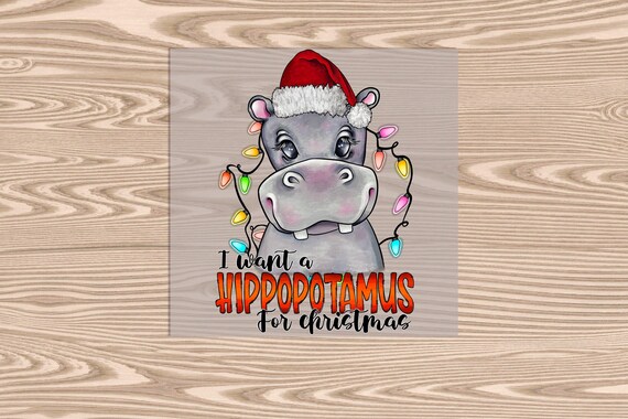 Ready to Press, I want a Hippopotamus for Christmas, heat transfer print, DTF Transfer Print