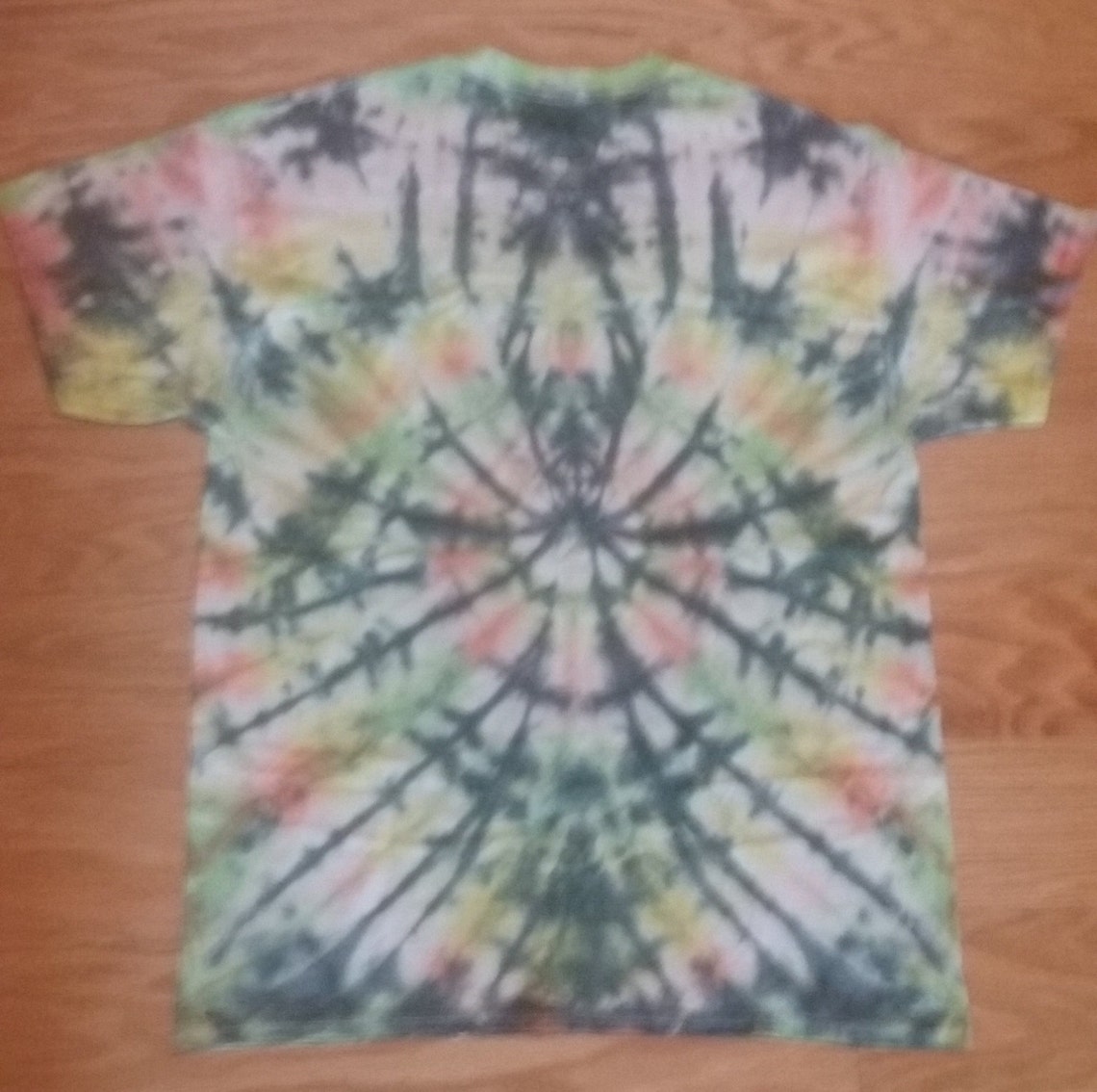 mr tie dye spider
