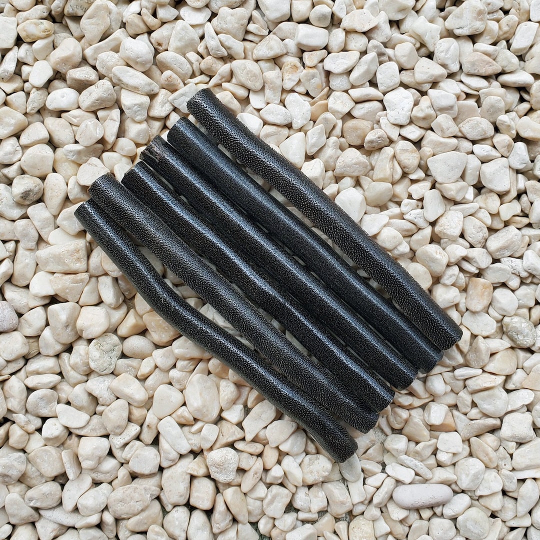 Genuine Natural Raw Black Coral Branch Indonesian Sea Willow Yusr A Etsy