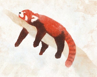 Red Panda Takes 40 Winks, Red Panda Print, Art Print, Red Panda, Wildlife Art,  Wildlife, Wall Decor, Panda Art, Fine Art Print, Panda Gift