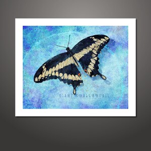 Butterfly art, Giant Swallowtail, Butterfly Print, Nature Art, Butterfly Painting, Wildlife Painting, Wall Decor