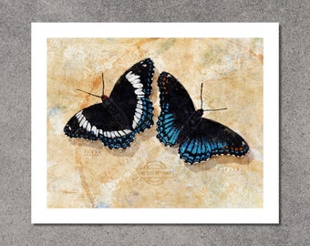 Butterfly art, Butterfly Print, Nature Art, Butterfly Painting, Wildlife Painting, Wall Decor