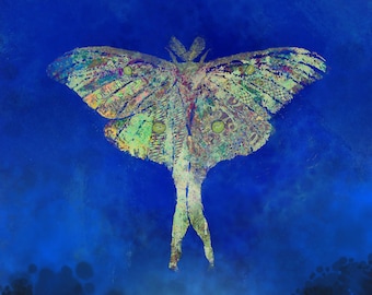 Luna Moth Print, Luna Moth Painting, Luna Moth, Wall Decor, Wildlife Art, Butterfly Painting, Art Print, Butterfly Art