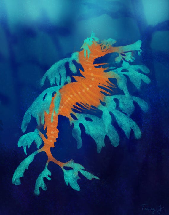 Leafy Sea Dragon Art Print Leafy Sea Dragon Painting Print Etsy