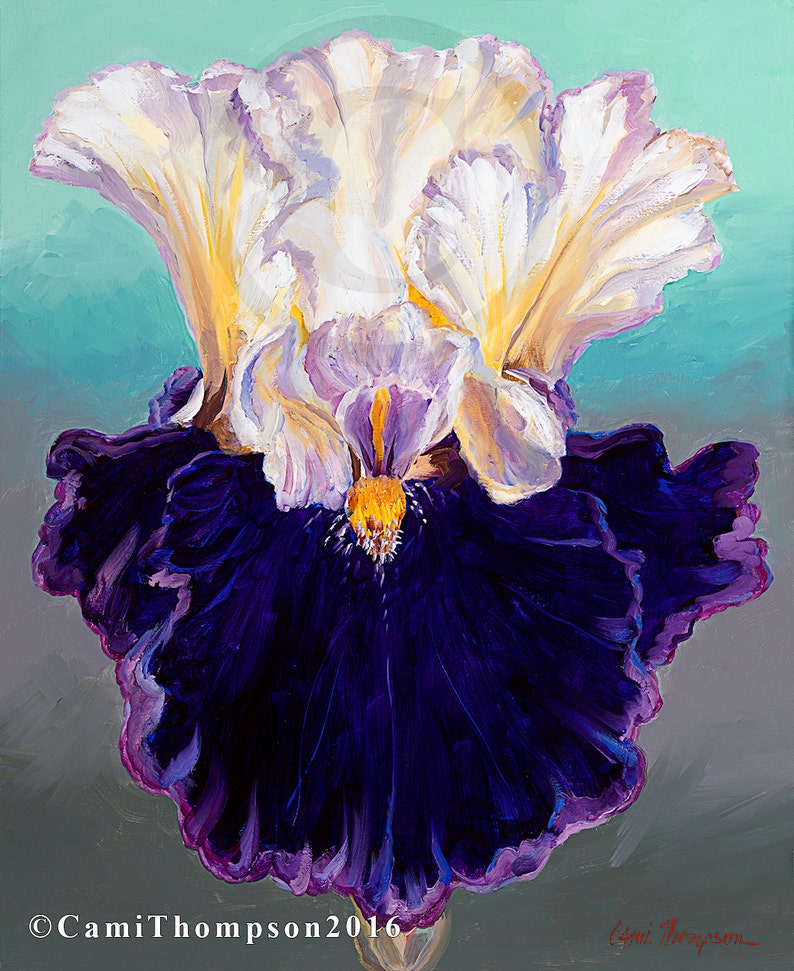 Iris Flower Oil Painting ORIGINAL Oil canvas purple white Iris Etsy