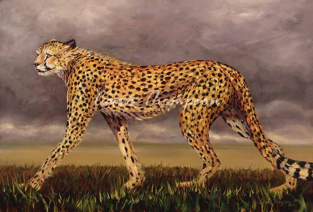 Cheetah Africa fastest animal Big Cat stealth speed wildlife Etsy