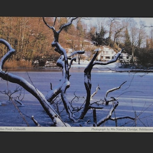 Cartão postal vintage dos anos 80, Surrey, Waterloo Pond, Chilworth, Pebblecombe, Women's Institute, Feminism, Guildford, English River, Reino Unido,
