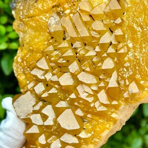 Natural Golden Himalayan Quartz Cluster/Hematite Quartz Crystal/Rare Gold Quartz Decoration/Healing Specimen/Protective energy  606g 6.53&quot;