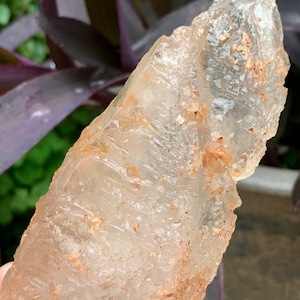 May include: A large, clear quartz crystal with a rough, natural texture. The crystal has a light pink hue and is speckled with small, reddish-brown inclusions.