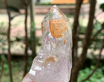 超透明結晶　シングルポイント ブラジル産　天然石　原石　淨化　鉱物 瞑想 水晶 単結晶 ポイント アソートセット 約200gセット