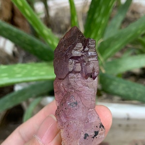 May include: A purple amethyst crystal with black inclusions. The crystal is pointed and has a rough texture.