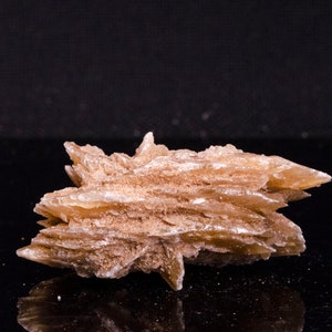 Sahara Desert Minerals and Crystals,Desert ROSE,Sand Rose,Selenite,Large Desert Rose Gypsum,Desert Rose Chunk,Gypsum Rose,  Senelite