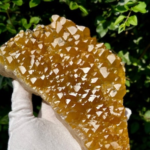 Natural Golden Himalayan Quartz Cluster/Hematite Quartz Crystal/Rare Gold Quartz Decoration/Healing Specimen/Protective energy  896g 7.75&quot;