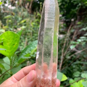 May include: A clear, elongated quartz crystal point with a hexagonal structure. The crystal features a transparent, glass-like body that tapers to a point at the top, with reddish-brown mineral inclusions concentrated at the base of the specimen.