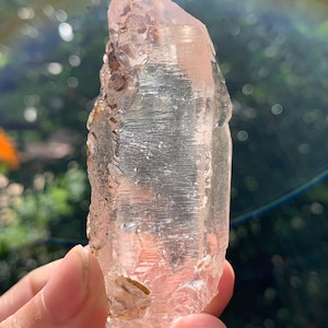 Puede incluir: Una punta de cristal de cuarzo translúcido y alargado con un tono rosa pálido. El cristal presenta un cuerpo principal liso con estrías verticales y formaciones naturales, dentadas y texturizadas en un lado, mostrando claridad interna.