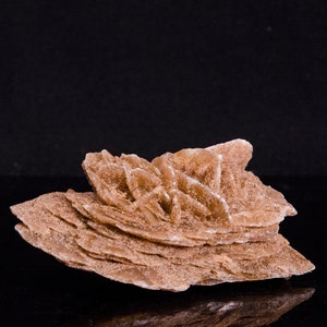 Desert ROSE,Sand Rose,Selenite,Large Desert Rose Gypsum,Desert Rose Chunk,Gypsum Rose,  Senelite,Yellow Desert Rose
