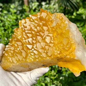 Natural Golden Himalayan Quartz Cluster/Hematite Quartz Crystal/Rare Gold Quartz Decoration/Healing Energy/Protective energy 1044g 7.08&quot;